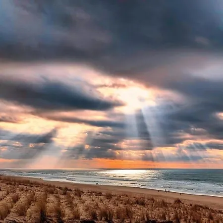 Agreable Dans Calme Sous Les Pins