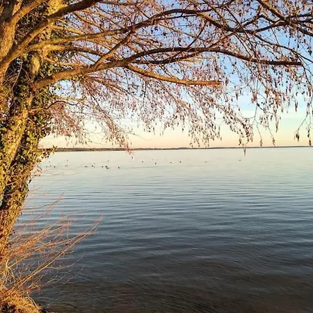 Agreable Dans Calme Sous Les Pins