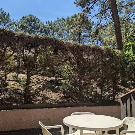 Agreable Dans Calme Sous Les Pins Daire