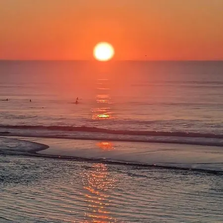 Agreable Dans Calme Sous Les Pins *