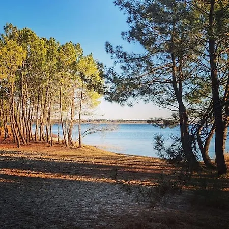 Daire Agreable Dans Calme Sous Les Pins Lacanau