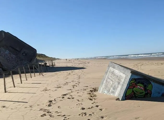 Agreable Dans Calme Sous Les Pins * 拉卡诺