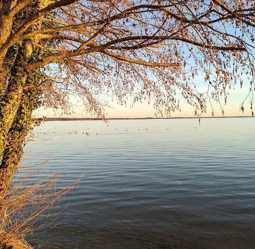 Agreable Dans Calme Sous Les Pins