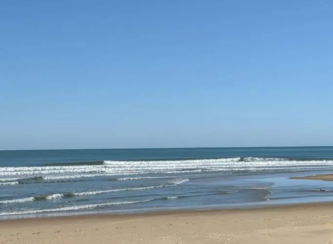 Agreable Dans Calme Sous Les Pins 拉卡诺