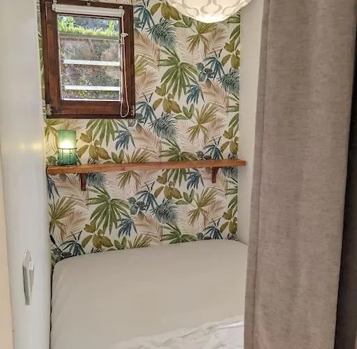 公寓 Agreable Dans Calme Sous Les Pins