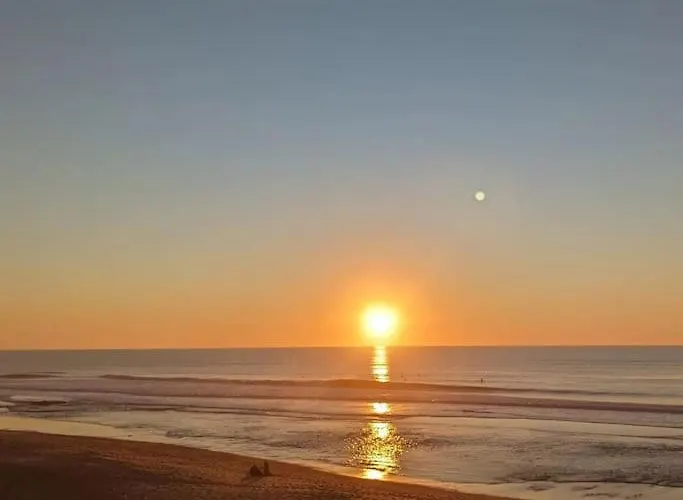 Agreable Dans Calme Sous Les Pins * 拉卡诺