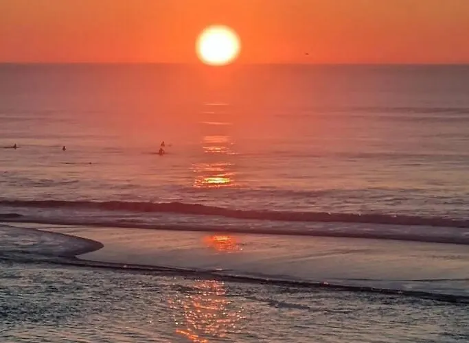 Agreable Dans Calme Sous Les Pins *