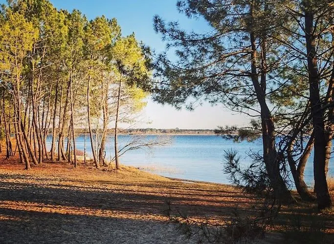 公寓 Agreable Dans Calme Sous Les Pins 拉卡诺